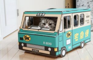 元カノに荷物を郵送で復縁はあり得る？荷物郵送きっかけで復縁する方法をご紹介のアイキャッチ画像